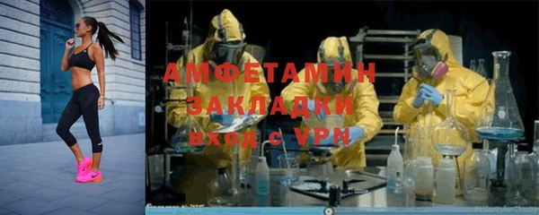 гидра Богородск