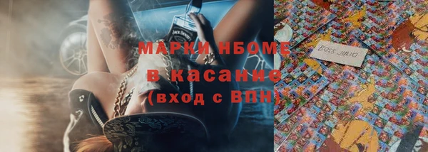 гидра Богородск