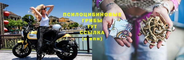 гидра Богородск