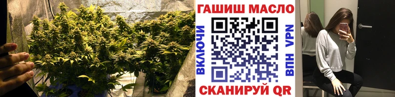 Купить где  Пыталово  Дистиллят ТГК Wax 